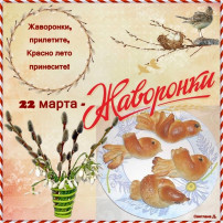"Жаворонки" "Жаворонки".