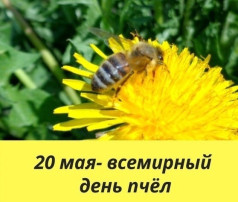 Всемирный День пчёл Всемирный День пчёл.