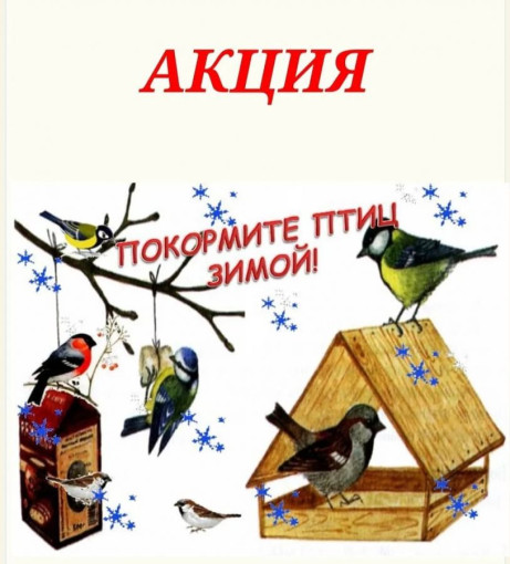 "Покорми птиц зимой" "Покорми птиц зимой".