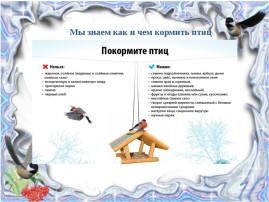 Меню для пернатых Меню для пернатых.